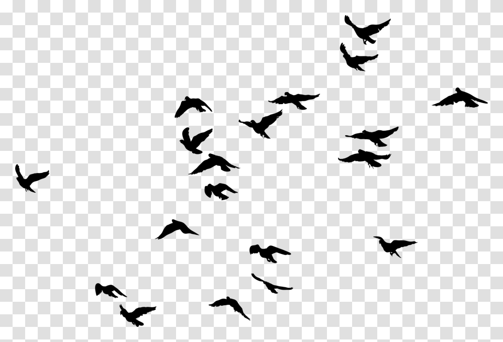 Birds Image Birds Black And White, Gray, World Of Warcraft Transparent Png