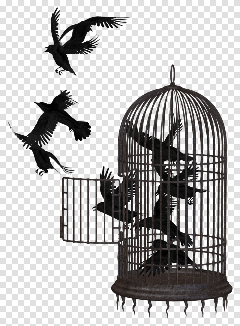 Birds In A Cage, Animal, Blackbird, Flying, Gate Transparent Png