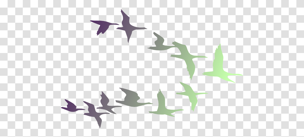 Birds In Flight Clip Art, Flying, Animal, Flock, Silhouette Transparent Png