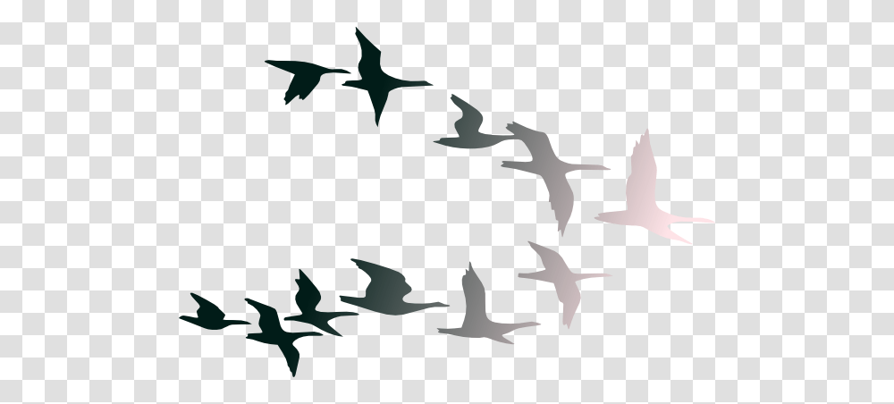 Birds In Flight Clip Arts For Web, Flying, Animal, Flock, Silhouette Transparent Png