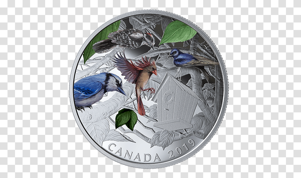 Birds In The Backyard Mnze 2019, Animal, Coin, Money, Jay Transparent Png