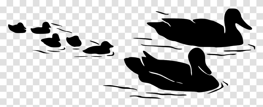 Birds In Water Silhouette, Gray, World Of Warcraft Transparent Png