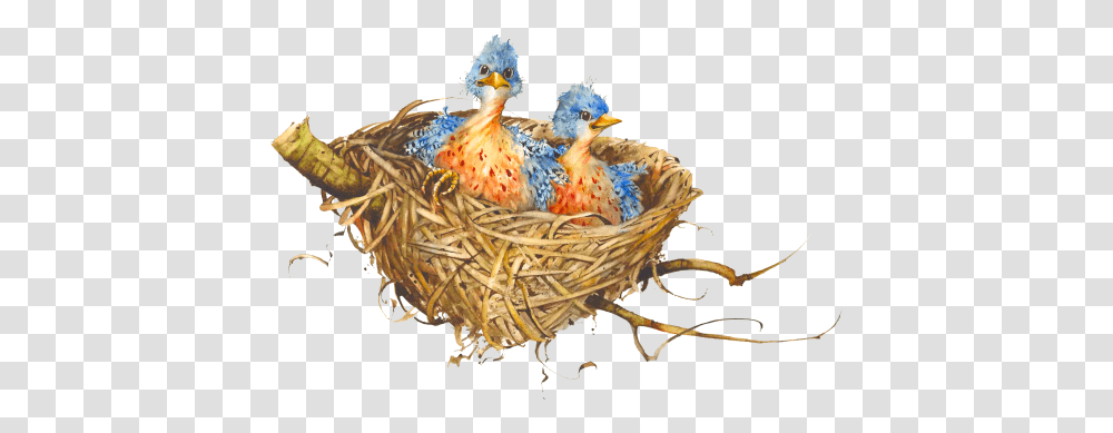 Birds Nest 2 Image Portable Network Graphics, Chicken, Poultry, Fowl, Animal Transparent Png