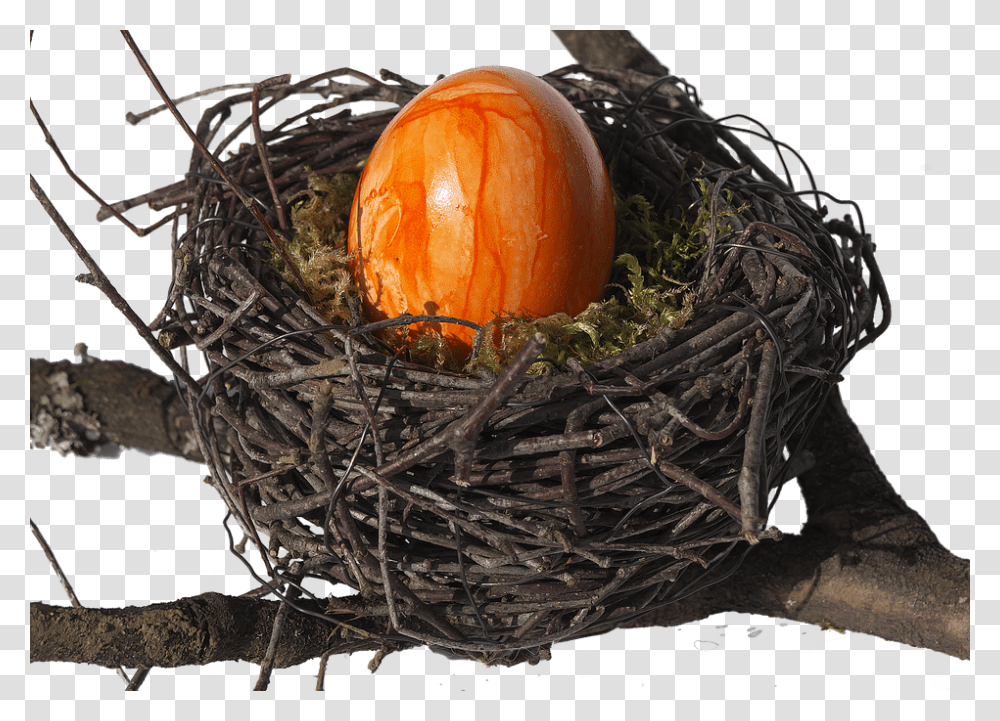 Birds Nest 960, Religion, Bird Nest, Food, Egg Transparent Png