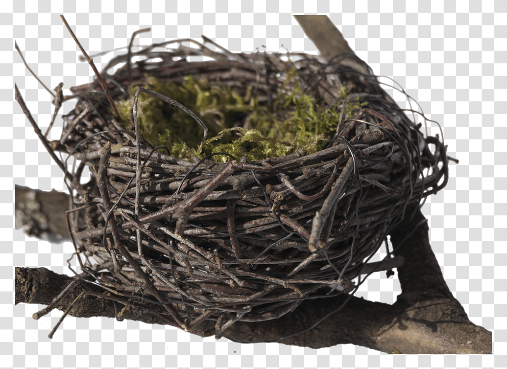Birds Nest 960, Religion, Bird Nest Transparent Png