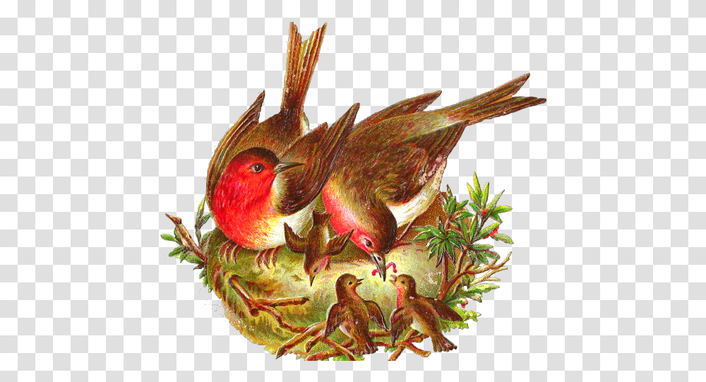 Birds Nest Clipart Victorian Bird Bird With Nest, Dragon, Animal, Pattern Transparent Png