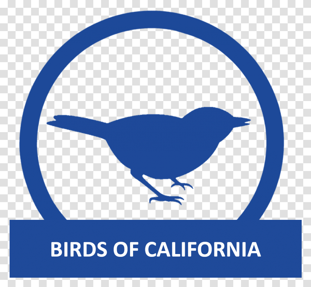 Birds Of California Stickers Animaux, Animal, Logo, Trademark Transparent Png