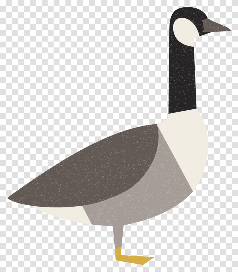 Birds Of Canada - Nini Lee Graphic Design & Illustration, Axe, Tool, Animal, Waterfowl Transparent Png