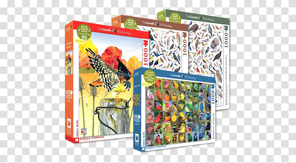 Birds Of North America 1000 Piece Chapter 2 Bird Puzzle, Poster, Advertisement, Game, Animal Transparent Png