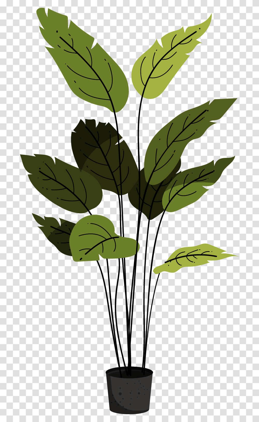 Birds Of Paradise Plant, Leaf, Green, Pattern Transparent Png