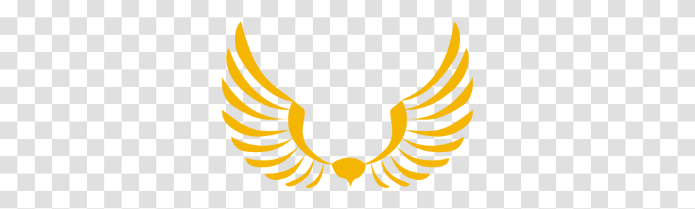 Birds Of Prey In Devon - Westcountry Falconry Flying Bird Logo, Symbol, Trademark, Emblem, Badge Transparent Png