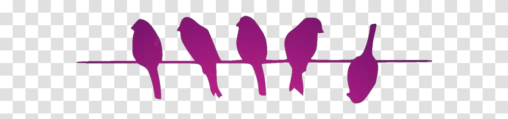 Birds On Wire Images Dare To Be Different Birds On A Wire, Chair, Furniture, Animal Transparent Png