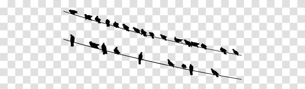 Birds On Wires Silhouette Birds On A Wire, Gray, World Of Warcraft Transparent Png