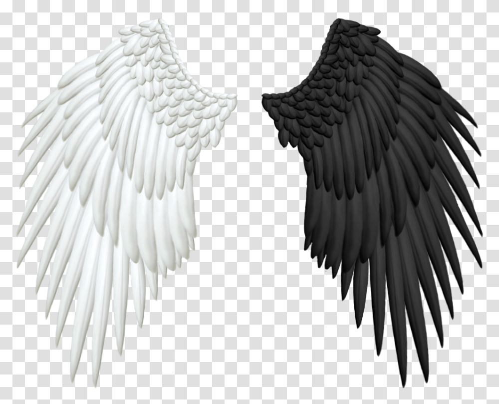 Крылья ангела черное и белое