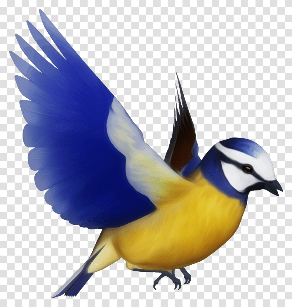 Birds Picture Colorful Flying Birds, Animal, Bluebird, Finch, Jay Transparent Png