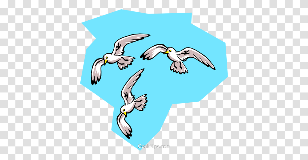 Birds Seagulls Royalty Free Vector Clip Art Illustration, Animal, Flying, Water, Outdoors Transparent Png