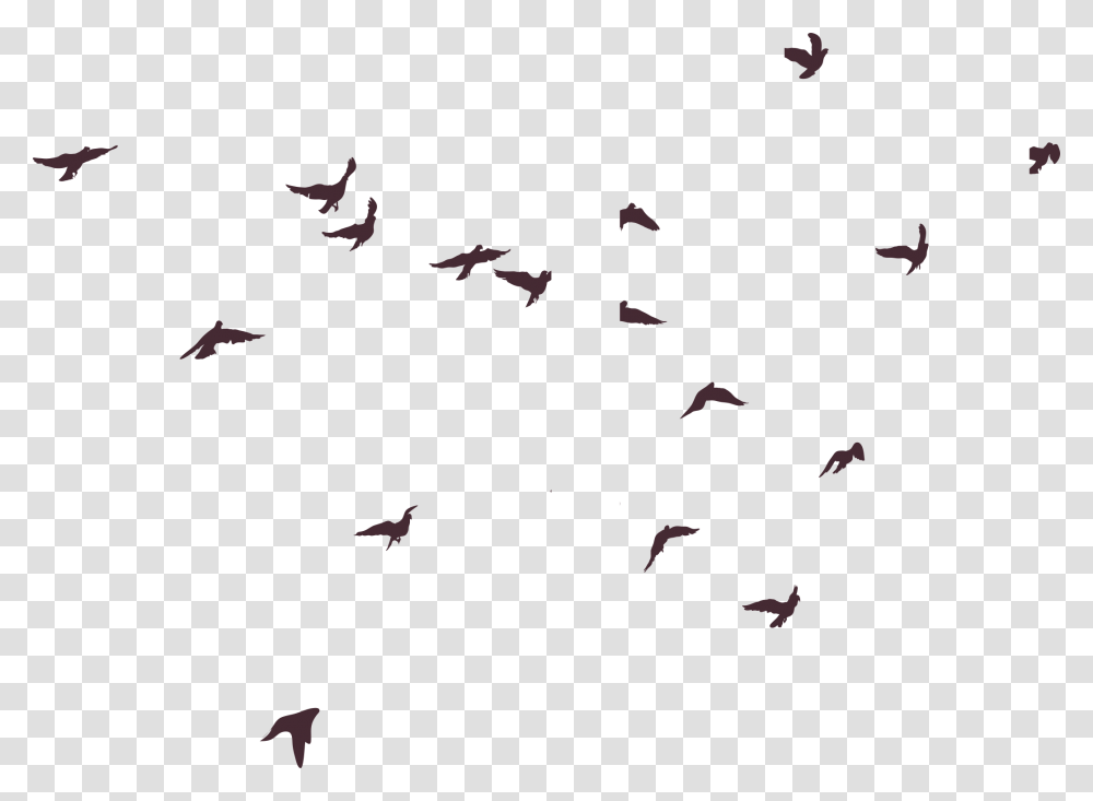 Birds Silhouette Download, Flock, Animal, Flying, Airplane Transparent Png