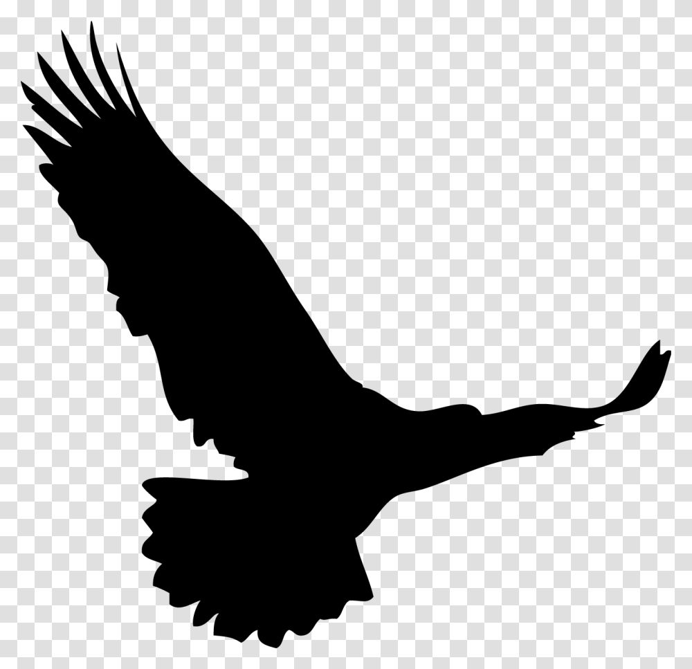 Birds, Silhouette, Flying, Animal, Eagle Transparent Png