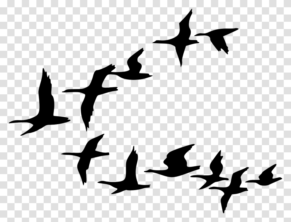 Birds Silhouette Silhouette Birds Black Flying Flock Of Birds Clipart, Gray, World Of Warcraft Transparent Png