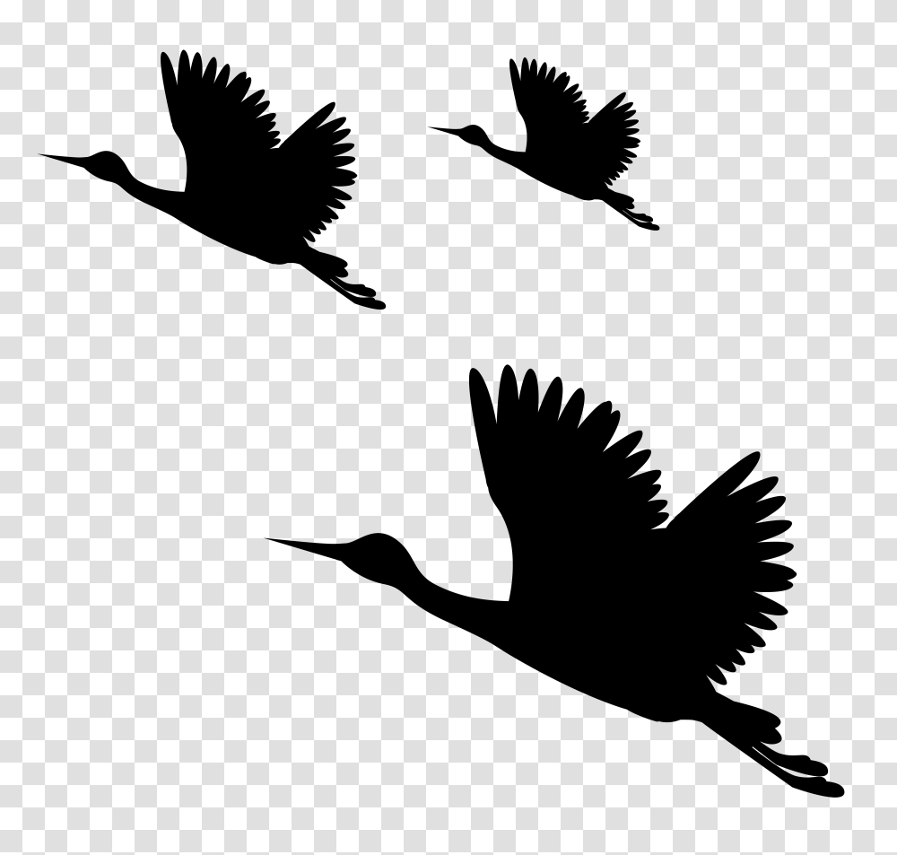 Birds Silhouettes Clip Art, Alphabet, Number Transparent Png