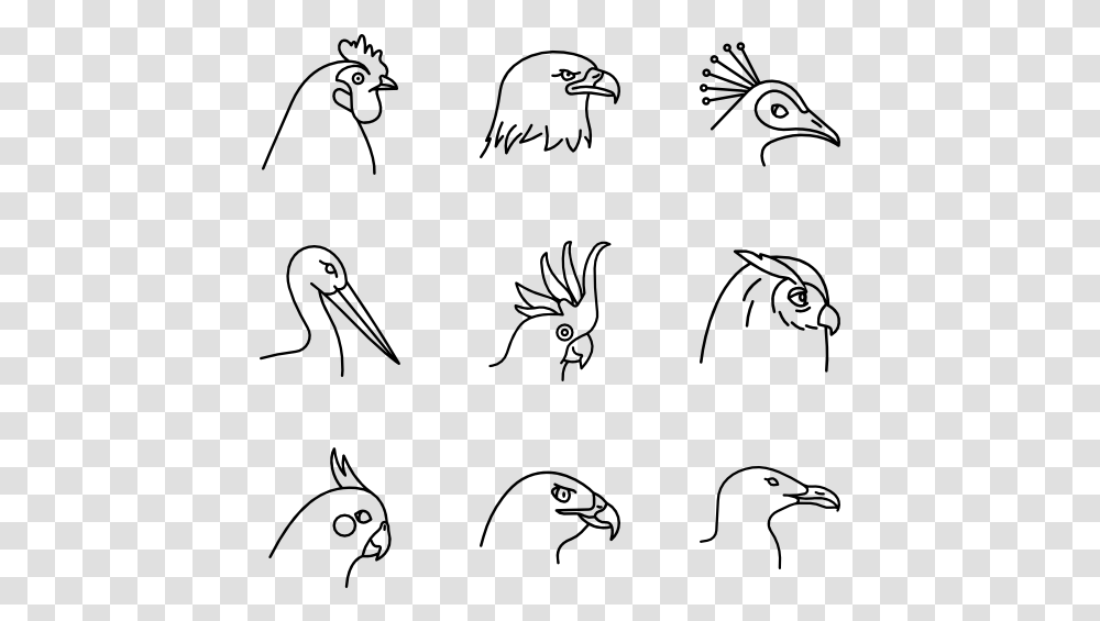 Birds Species Sketch, Gray, World Of Warcraft Transparent Png