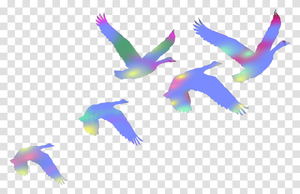 Birds Swans Flyingbirds Flaying Colorful Duce Colorful Flock Of Birds Transparent Png