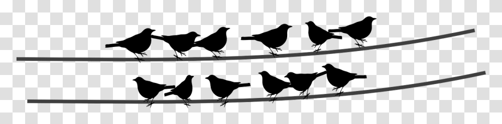Birds Wire Cable Sitting Birds Birds Sitting, Weapon, Arrow, Oars Transparent Png