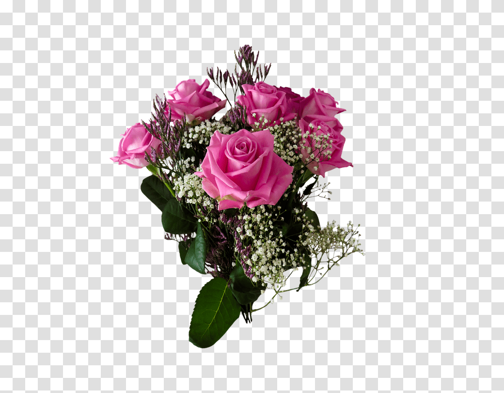 Birthday 960, Flower, Plant, Blossom, Flower Bouquet Transparent Png