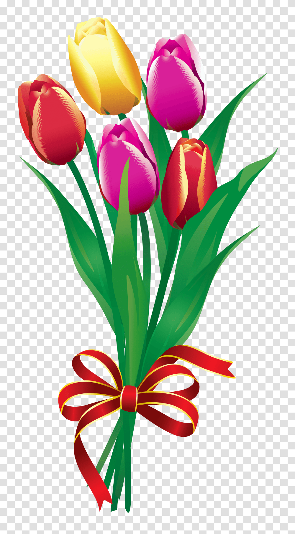 Birthday Bouquet Cliparts, Plant, Flower, Blossom, Tulip Transparent Png
