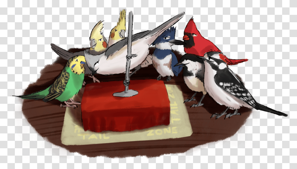 Birthday Cake, Bird, Animal, Finch, Furniture Transparent Png