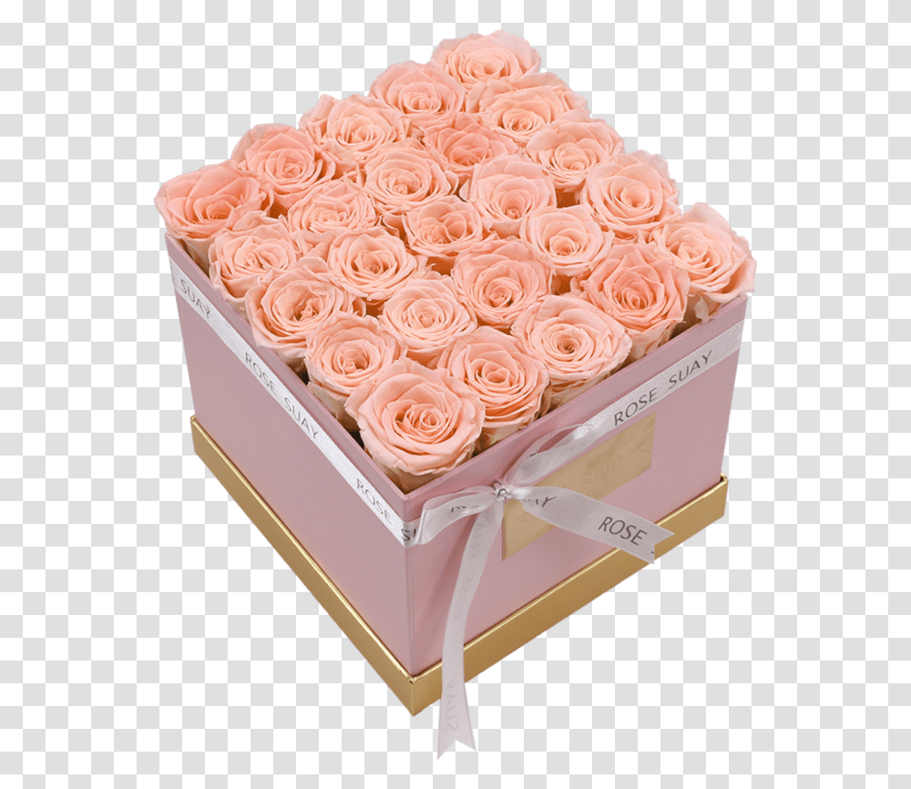 Birthday Cake, Plant, Rose, Flower, Blossom Transparent Png