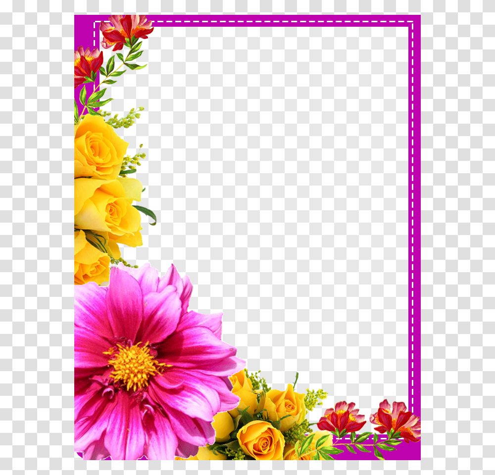 Birthday Card Design, Plant, Floral Design Transparent Png