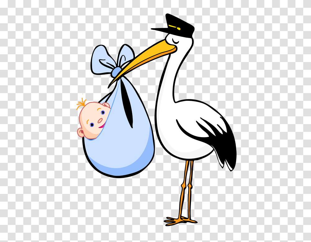 Birthday Clip Art, Bird, Animal, Pelican, Stork Transparent Png