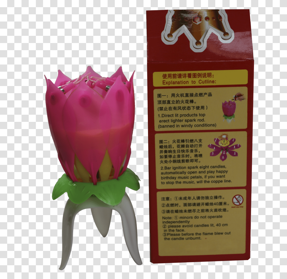 Birthday Effect, Plant, Flower, Menu Transparent Png