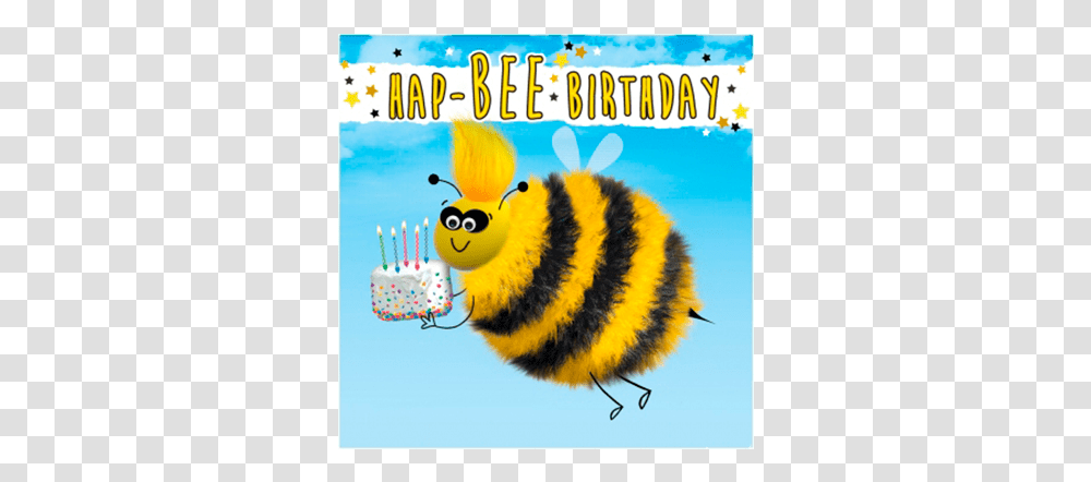 Birthday Funky Quirky Unusual Modern Cool Card Cards Happy Birthday Hap Bee Birthday, Bird, Animal, Greeting Card Transparent Png