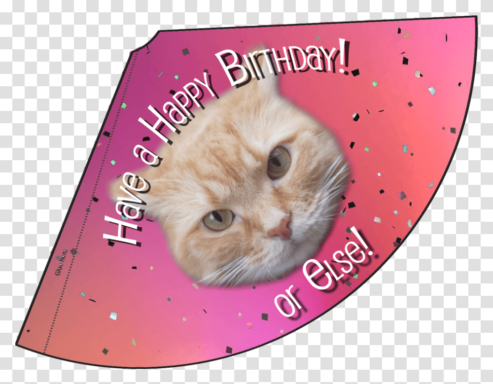 Birthday Month Celebration Lunaturd Cat Chapeu Aniversario Para Gato, Envelope, Pet, Mammal, Animal Transparent Png