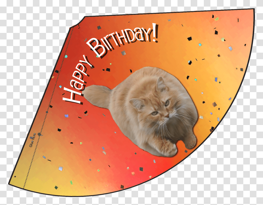 Birthday Month Celebration Lunaturd Cat Hats, Pet, Mammal, Animal, Manx Transparent Png