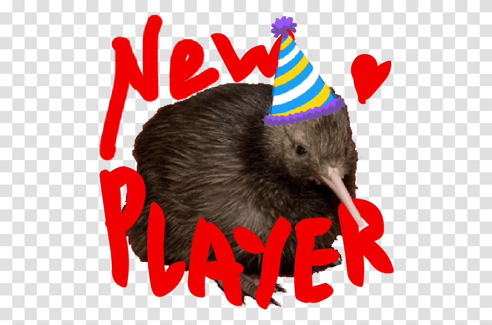 Birthday Party, Apparel, Rat, Rodent Transparent Png