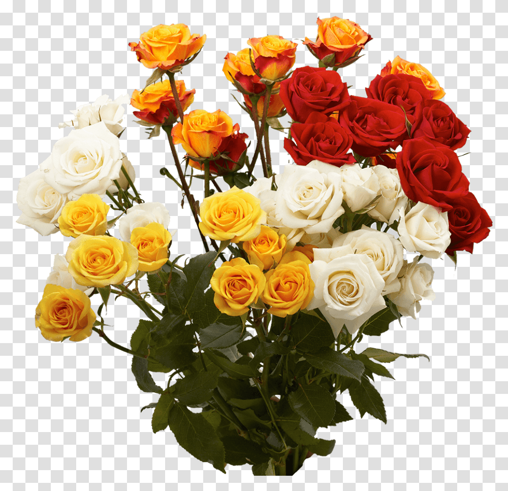 Birthday Spray Roses Flowers Garden Roses, Plant, Blossom, Flower Bouquet, Flower Arrangement Transparent Png