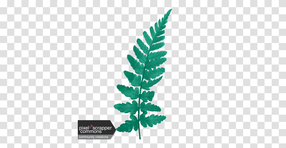 Birthday Wishes, Plant, Fern, Leaf, Rug Transparent Png