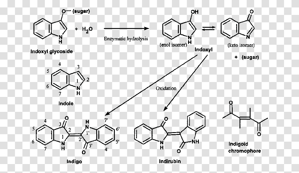 Bis Ethylhexyloxyphenol Methoxyphenyl Triazine Absorbance, Diagram, Plot, Number Transparent Png