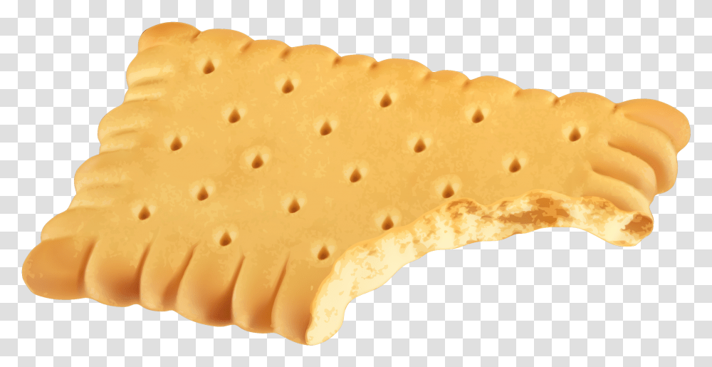 Biscuit, Bread, Food, Fungus, Cracker Transparent Png