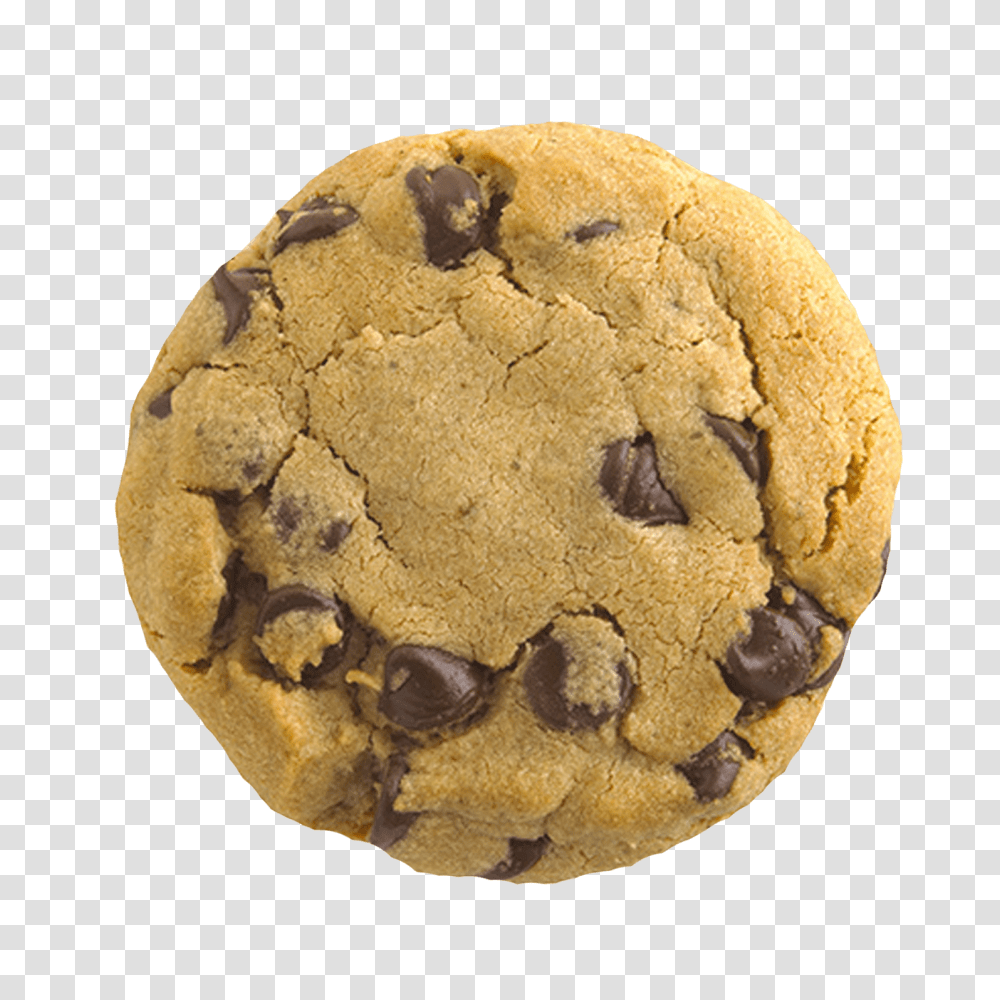 Biscuit, Food, Cookie, Teddy Bear, Toy Transparent Png