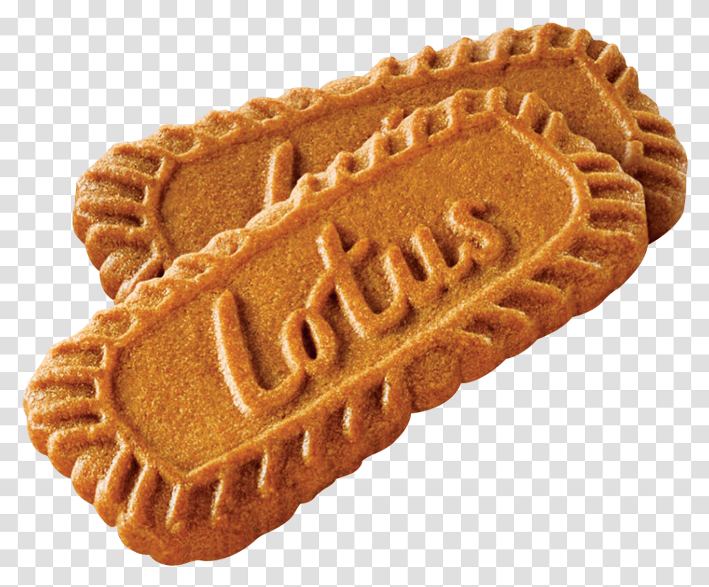 Biscuit Lotus Biscuits, Bread, Food, Cookie Transparent Png