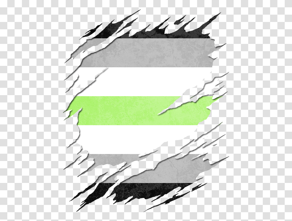 Bisexual Flag Cool Design, Silhouette, Bird, Tarmac Transparent Png