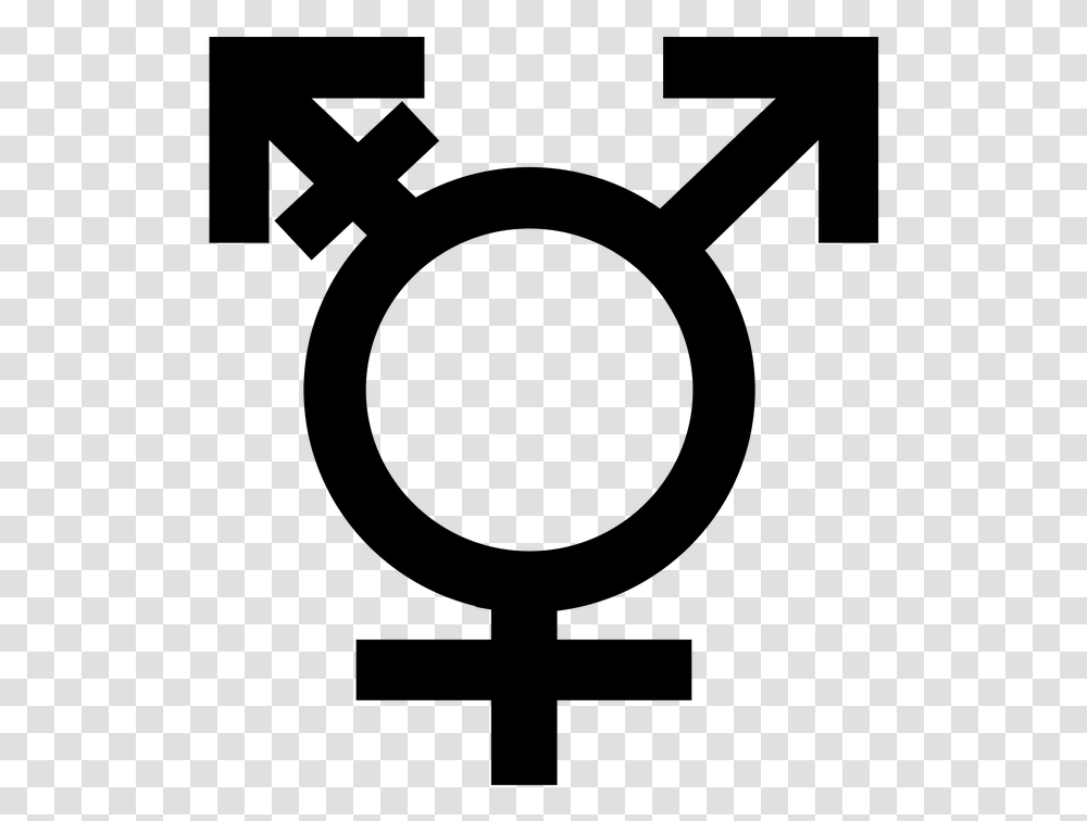 Bisexual Flag Trigender Symbol, Gray, World Of Warcraft Transparent Png