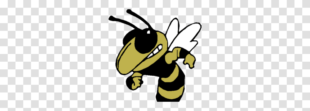 Bishop Moore Sports Performance Physical Therapy, Wasp, Bee, Insect, Invertebrate Transparent Png