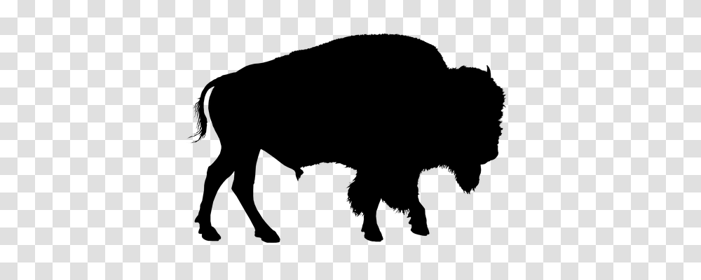 Bison Animals, Nature, Outdoors, Night Transparent Png