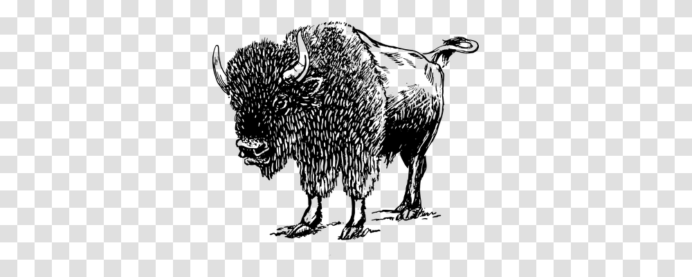 Bison Animals, Gray, World Of Warcraft Transparent Png