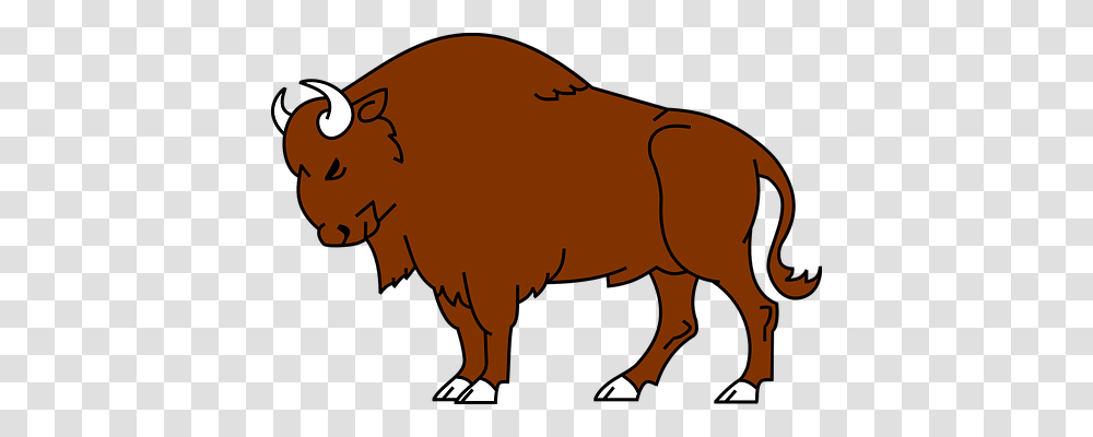Bison Nature, Mammal, Animal, Wildlife Transparent Png